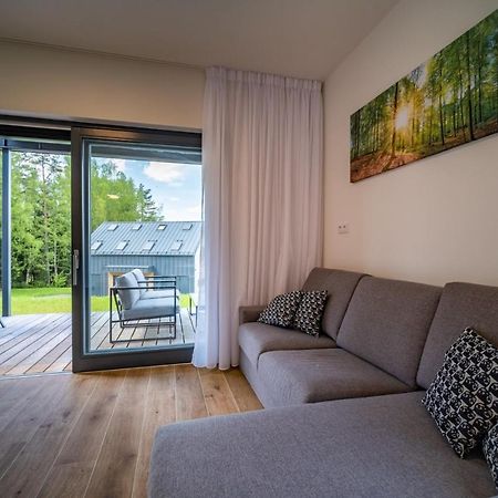 Holiday House U Hajenky 11P Lipno Home ليبنو ناد فلتافو المظهر الخارجي الصورة