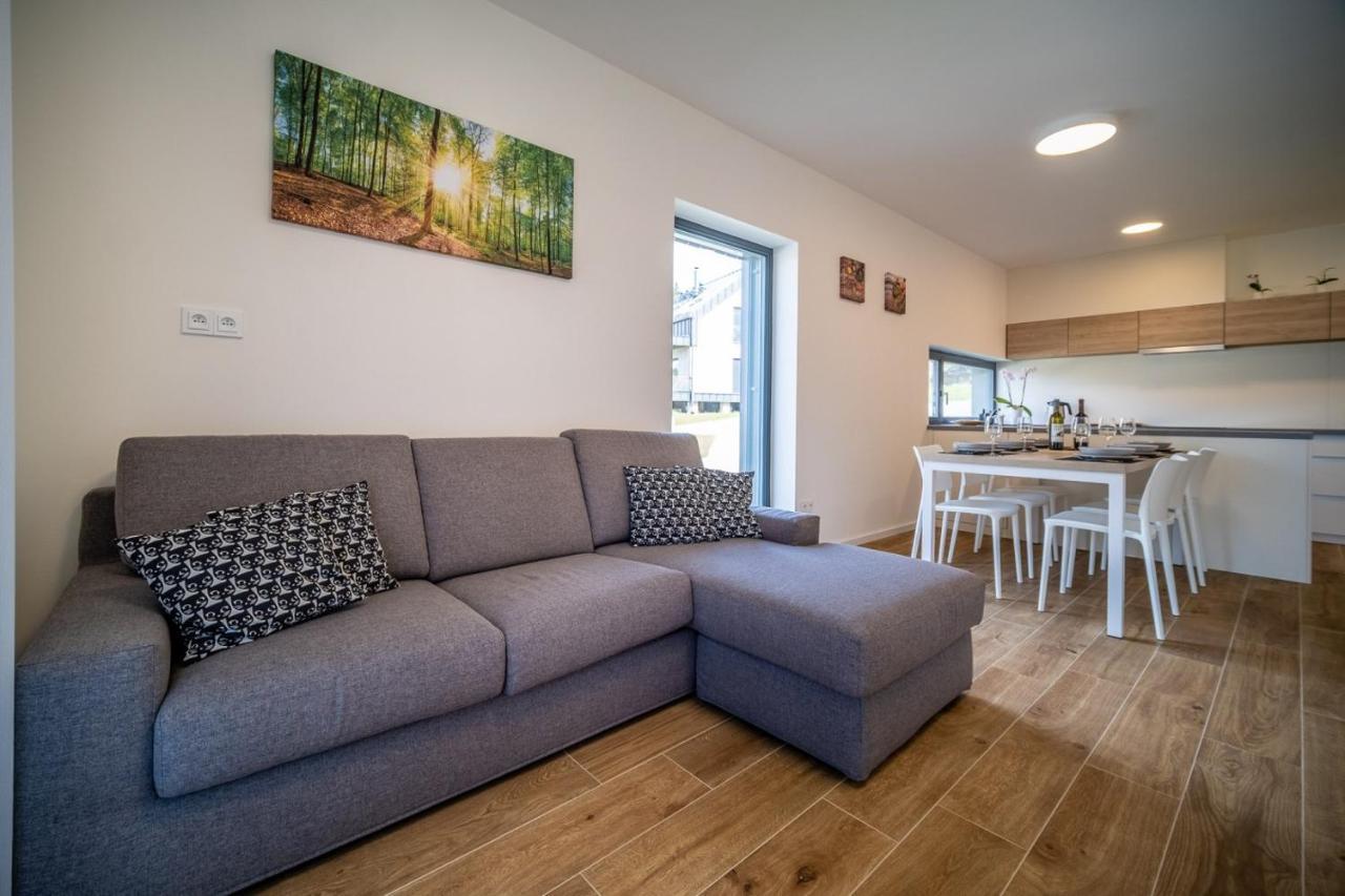 Holiday House U Hajenky 11P Lipno Home ليبنو ناد فلتافو المظهر الخارجي الصورة