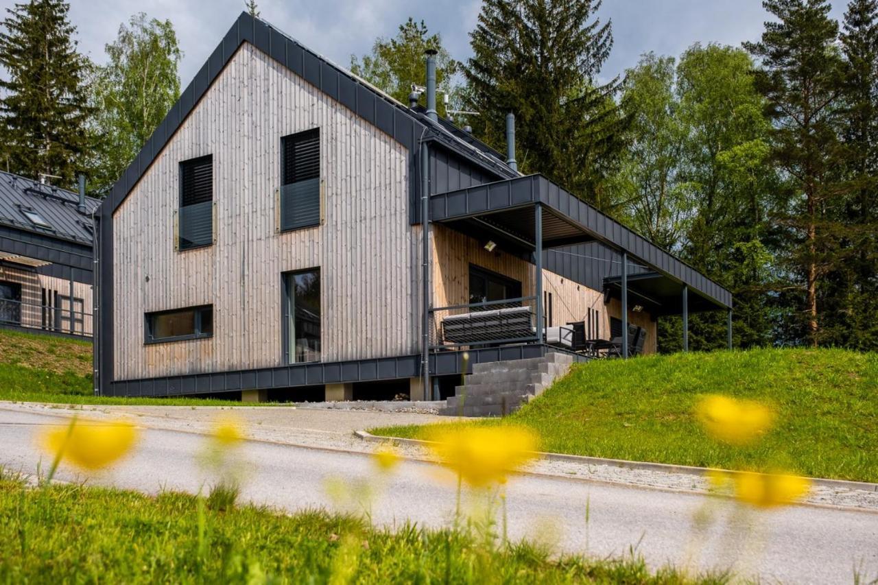 Holiday House U Hajenky 11P Lipno Home ليبنو ناد فلتافو المظهر الخارجي الصورة